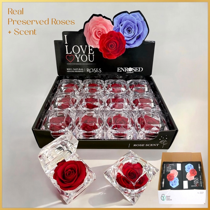 <h4>DIVERSEN H%</h4>