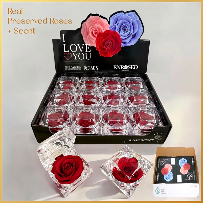 <h4>HUIS EN TUINDECO H%</h4>