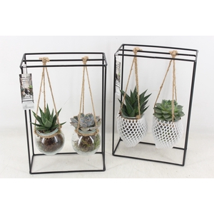 Arr2 Mb - Ijzer Rek 2glas Black
