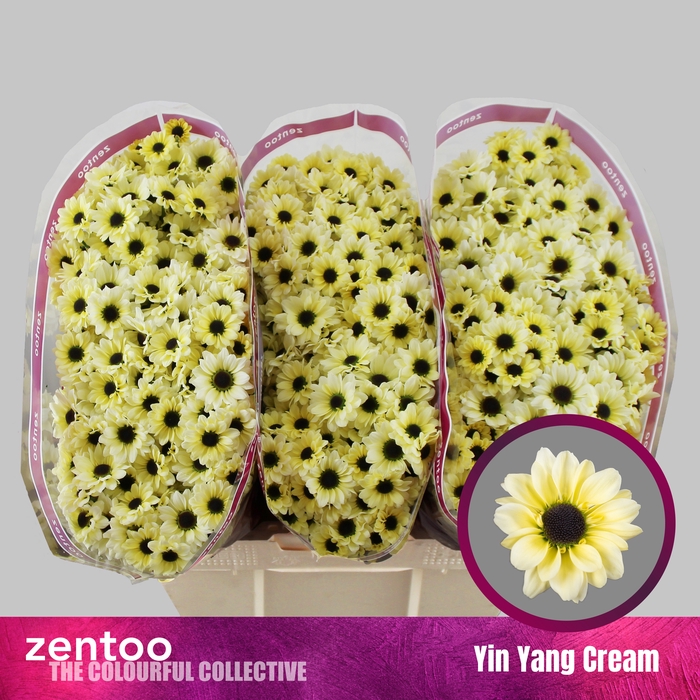 <h4>CHR S YIN YANG CREAM</h4>