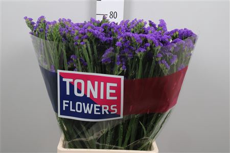 <h4>Lim S Cryst Dark Blu</h4>