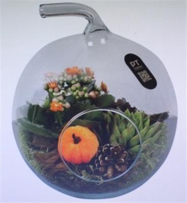 <h4>3412 ORANGE APPEL GLAS</h4>