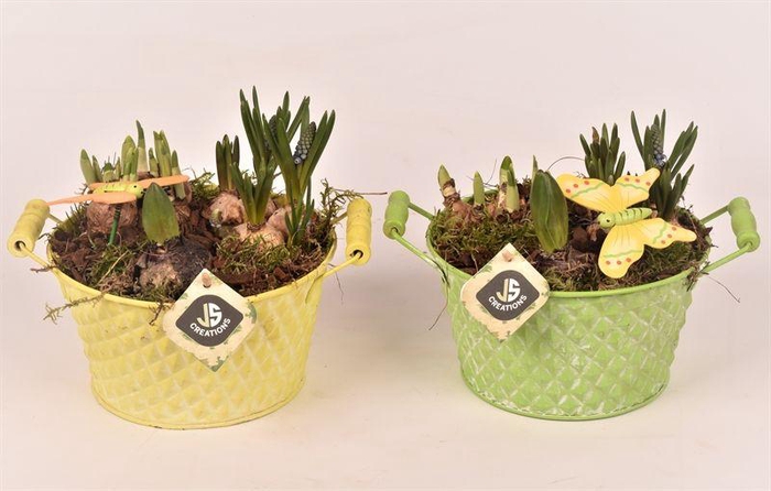 <h4>Zink teil met oor groen/geel 18cm</h4>