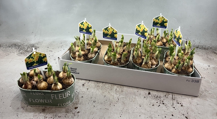 <h4>ARR N TETE A TETE</h4>