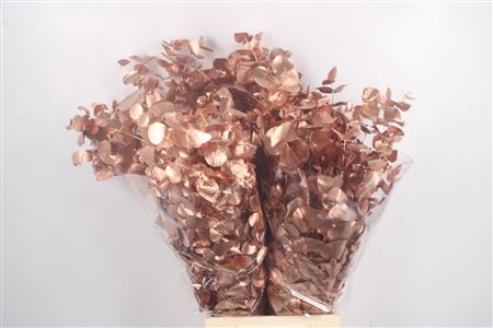 <h4>Euc Cin Klb Copper 200 Gram</h4>