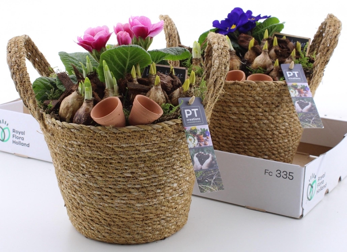 <h4>ARR PL IN SCHAAL</h4>