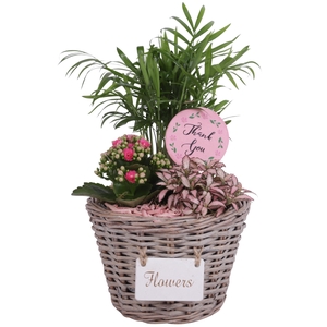 Mothersday Arr. Indoor Willow Basket Flowersign Ø20cm 3PP