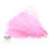 Dried Ostrich Feather Light Pink Big