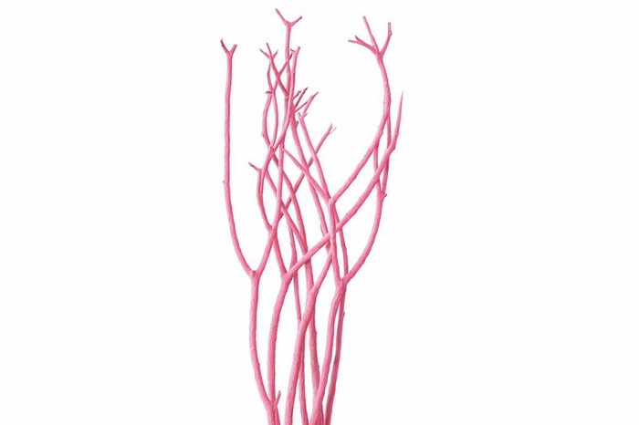 <h4>Mitsumata Flaked Light Pink 3pc Bunch</h4>
