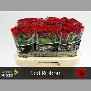 R GR RED RIBBON