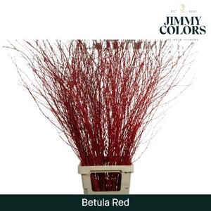 Betula L120 Red