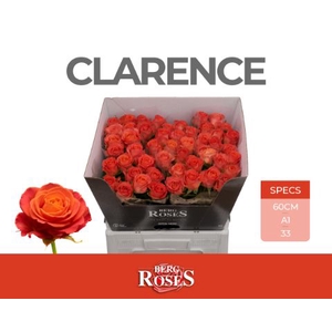 Rozen R GR Clarence