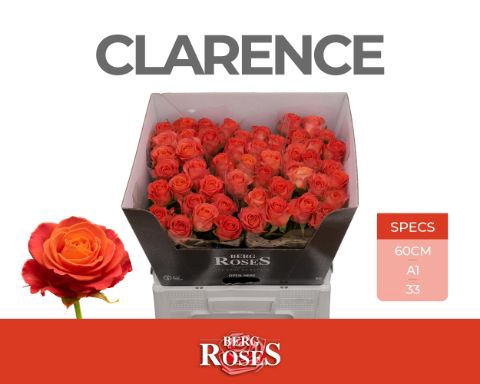 <h4>Rozen R GR Clarence</h4>