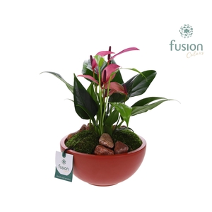 Schaal keramiek Moon Medium marsala rood met Anthurium