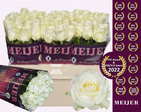 <h4>R Gr Avalanche White Meijer Extra</h4>