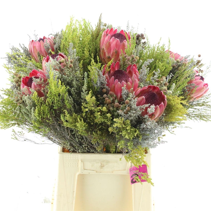<h4>Kaaps Bouquet 2 Protea Mix</h4>