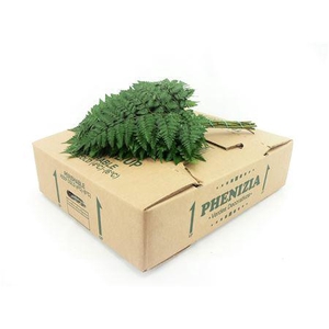 Leder. Extra X15 Koning