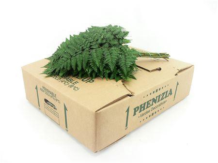 <h4>Leder. Extra X15 Koning</h4>