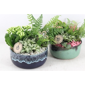 Arr2 Pl - Ker. Pot Glazed Wave 285/6 - Roze/wit