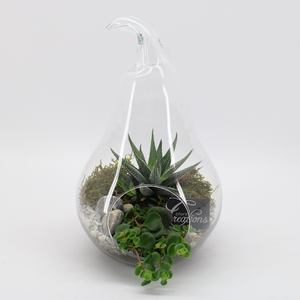 GRCR-2543 Green Essentials Terrarium