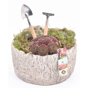 Cement schaal old look 22cm