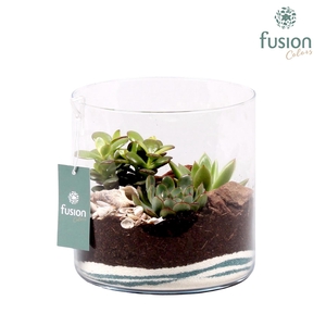 Maritiem glazen cilindervaas met