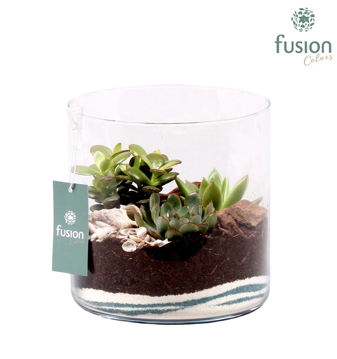 <h4>Maritiem glazen cilindervaas met</h4>