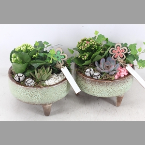 arr2 MB - Ker. schaal pootjes x5