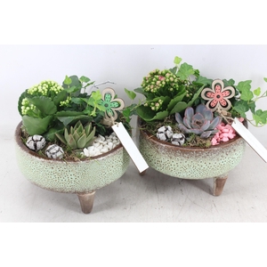 Arr2 Mb - Ker. Schaal Pootjes X5