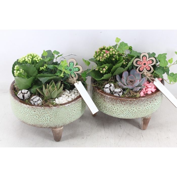 <h4>Arr2 Mb - Ker. Schaal Pootjes X5</h4>