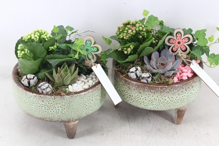 <h4>arr2 MB - Ker. schaal pootjes x5</h4>