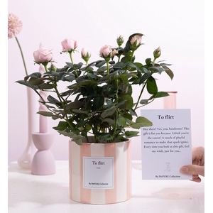 Ro Bm Licht Roze Keramiek + Giftcard To Flirt