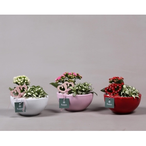 Schaal keramiek Moon Small 3 kleuren Love met Arrangement