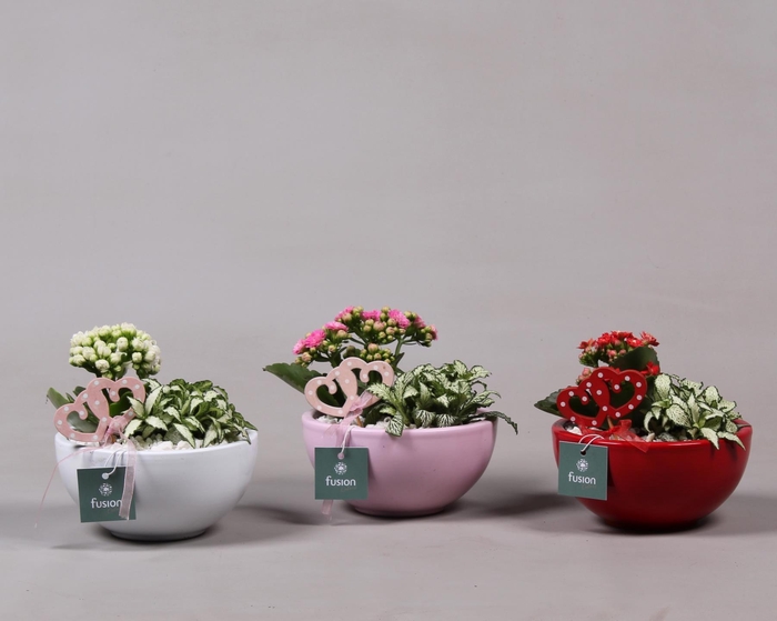 <h4>Schaal keramiek Moon Small 3 kleuren Love met Arrangement</h4>