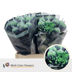 Chr G Antonov Poisen Ivy