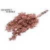 Dried schinus mollis paint copper