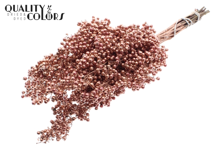 Dried schinus mollis paint copper