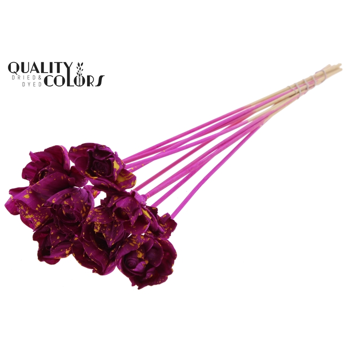 <h4>Shola Dear Holly 6cm on stem Splashed Lilac/Yellow</h4>