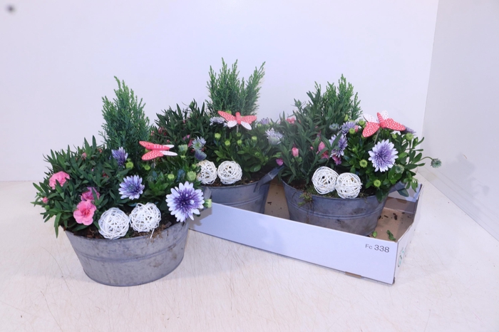 <h4>ARR TUINPLANTEN</h4>