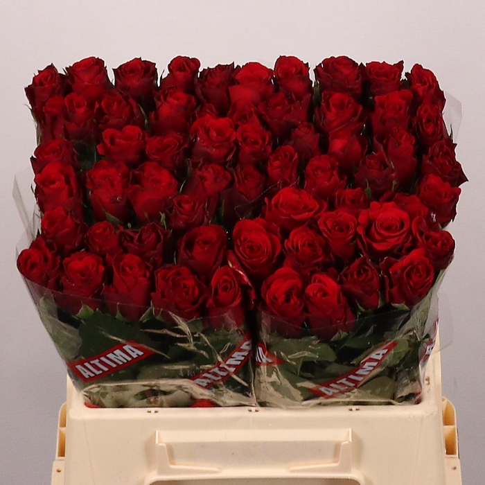 <h4>R GR UPPER CLASS</h4>