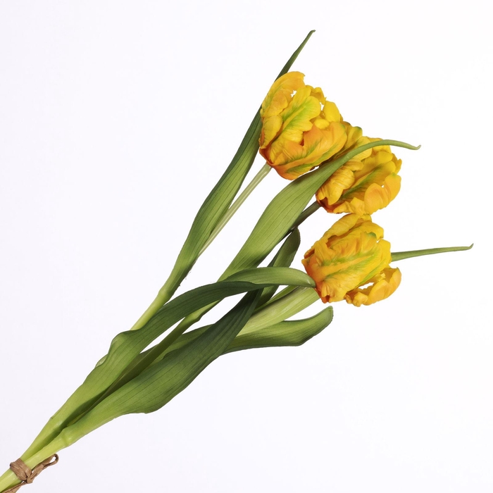 <h4>Tulip Bundle Yellow BK770017YEL</h4>