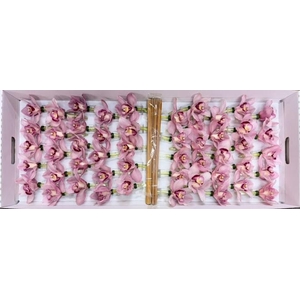 CYMB Stok 50 cm PINK