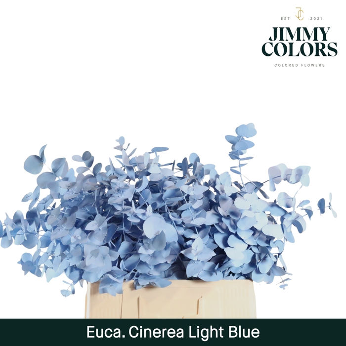 Cinerea per bos 200g Light blue