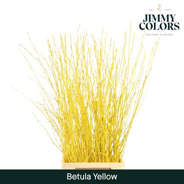 <h4>Betula paint yellow</h4>