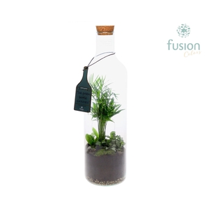 Green Bottle Fles Large met Arrangement