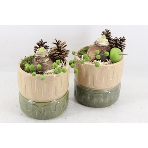 arr4 Amaryllis PL - Ker. pot groen/beige x3