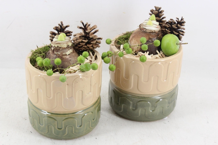 <h4>arr4 Amaryllis PL - Ker. pot groen/beige x3</h4>