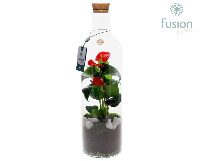 <h4>Green Bottle Fles Large met Anthurium</h4>