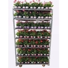 arr8 Pel Pelt Mixk 1 Kleur Per Tray