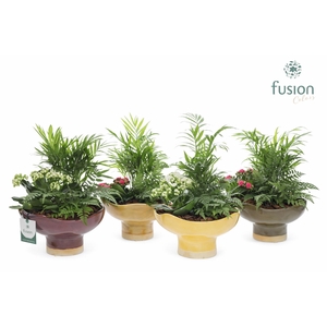 Keramiek schaal Large met Arrangement